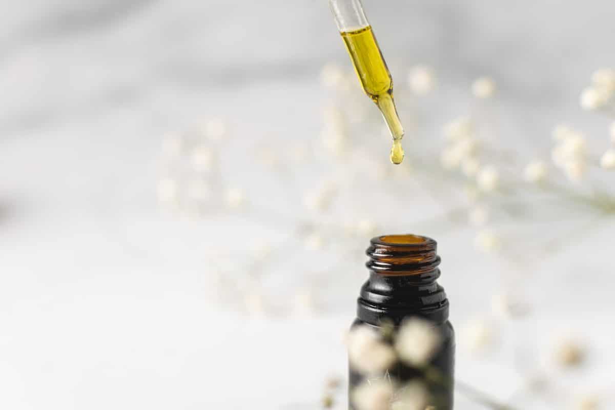cannabis kief oil