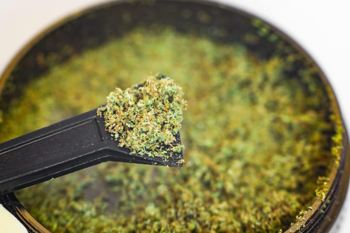 kief scaled
