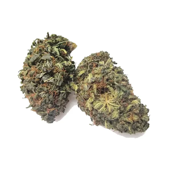 bubba kush ανθός hybrid H 1