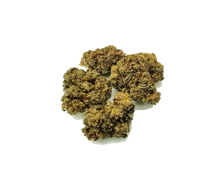 super skunk ανθός Hybrid H