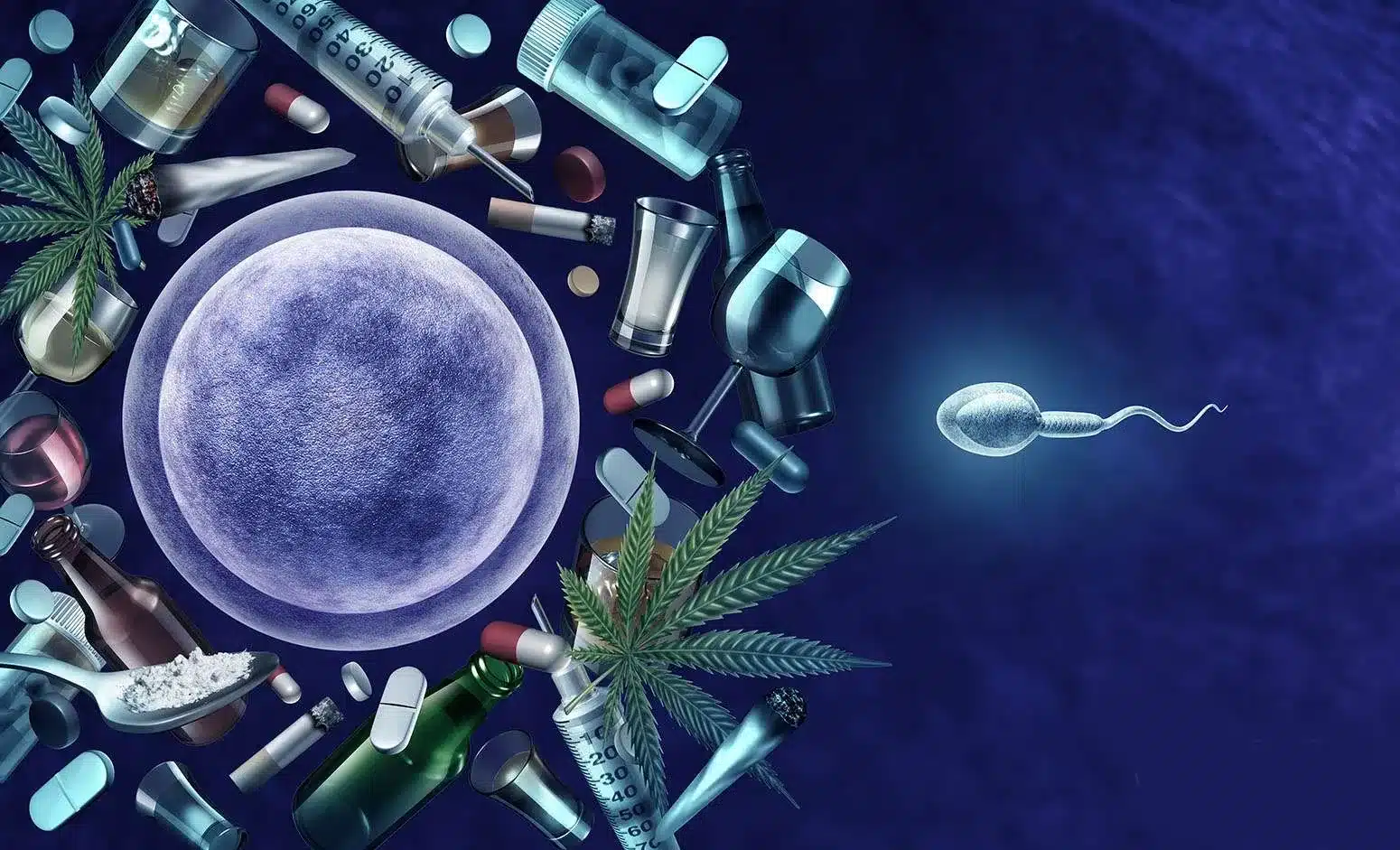 Κάνναβη και Γονιμότητα 1