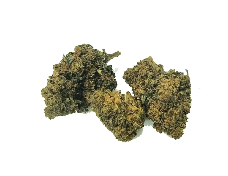 lemon skunk ανθός hybrid H