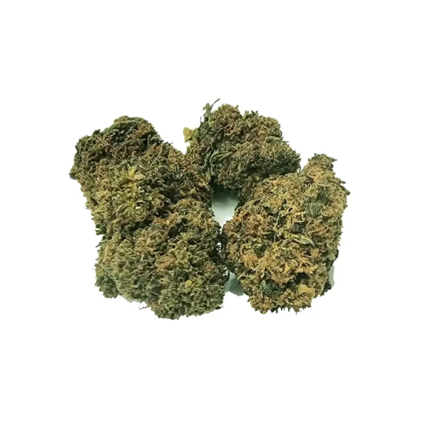 white widow ανθός hybrid H