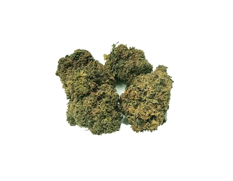 white widow ανθός hybrid H