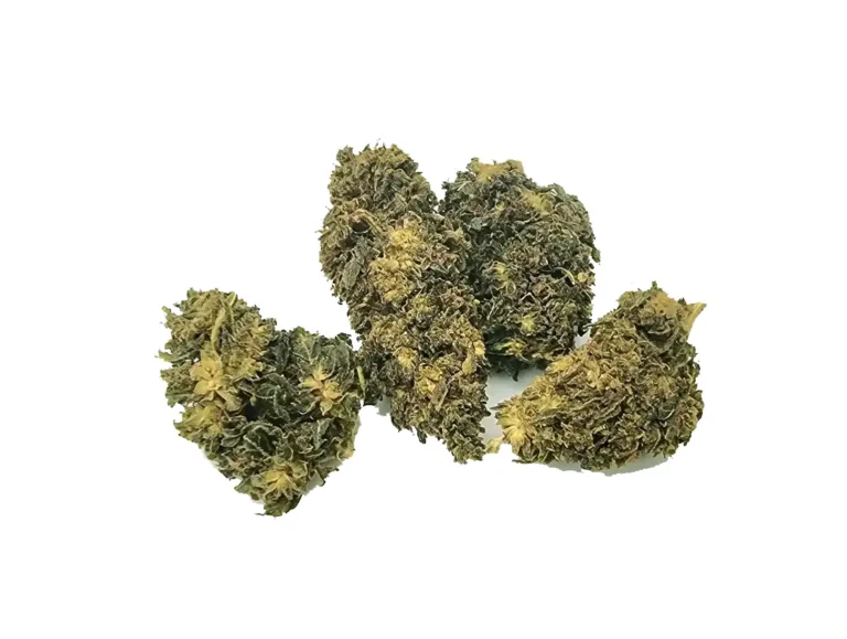 gorilla green ανθός hybrid h