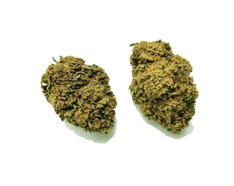 queen high ανθός cbg9