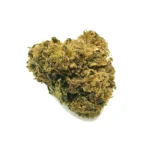 24k gold ανθός Hybrid H