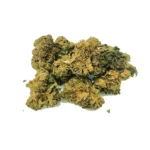 black ice ανθός Hybrid O