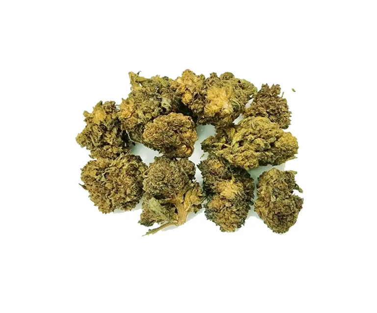jokerz ανθός hybrid h