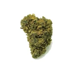 Bruce Banner Ανθός hybrid h