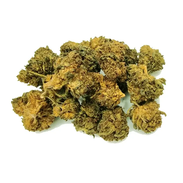 Lemon Ice Ανθός hybrid H
