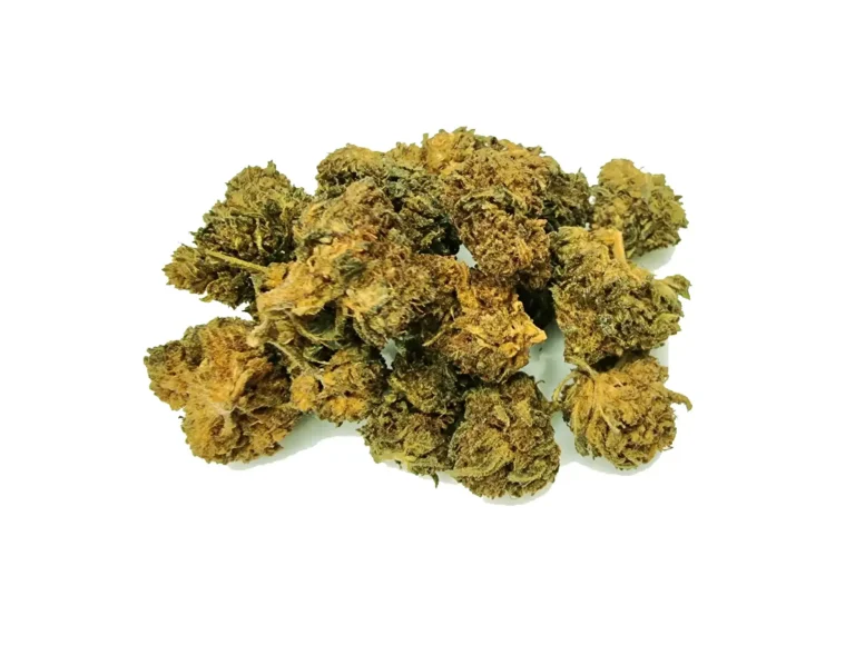 Lemon Ice Ανθός hybrid H