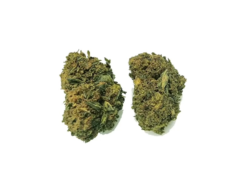 Melonade ανθός hybrid h