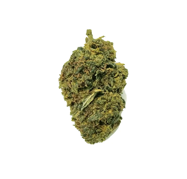 weedy wonka ανθός hybrid h