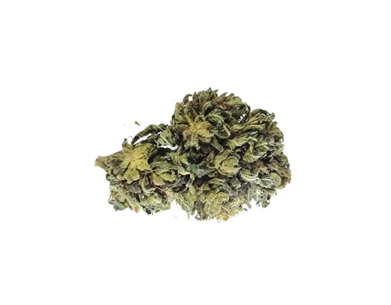 Blue Dream ανθός hybrid O