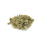 Hollywood Kush ανθός hybrid O