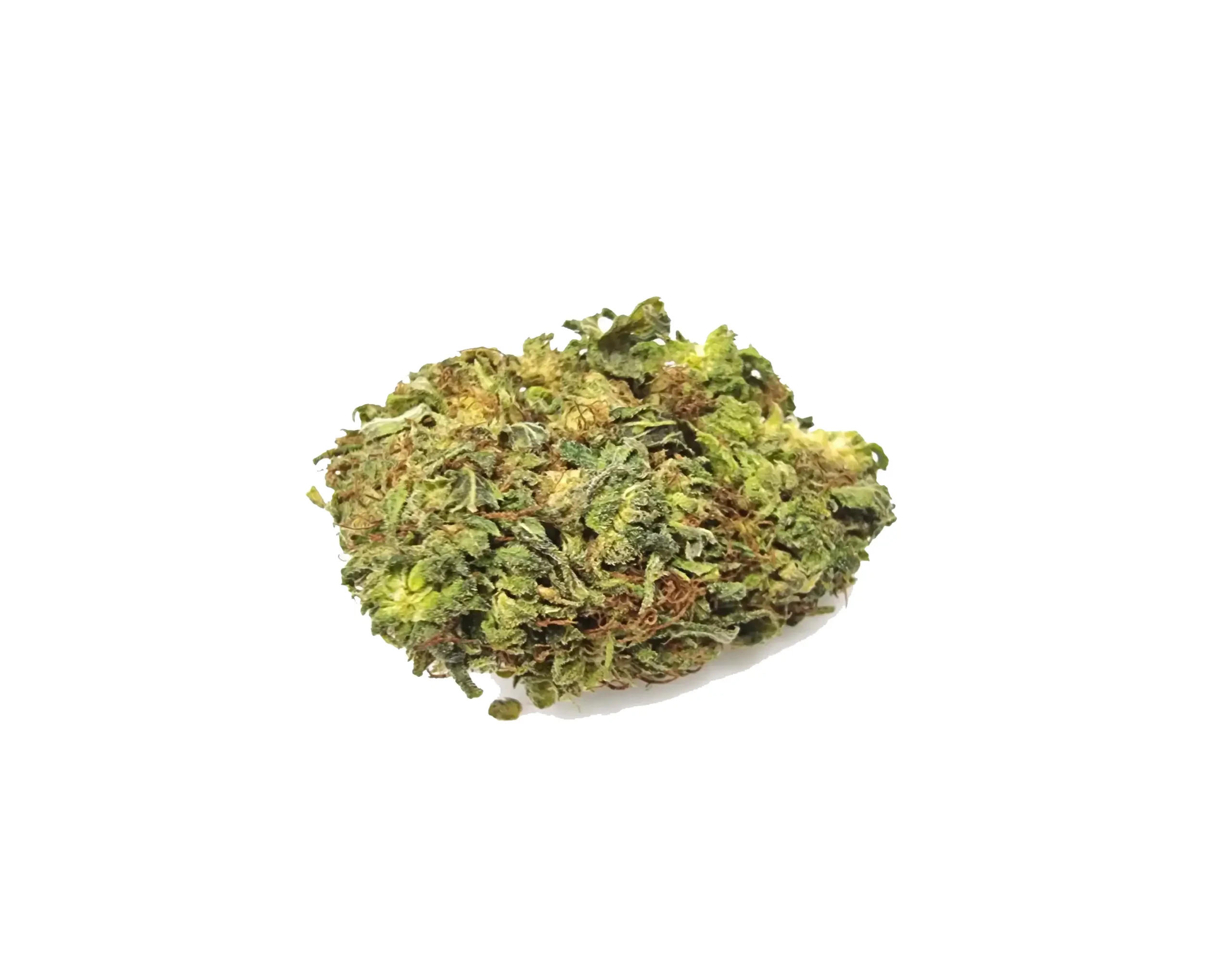 jack Lemon ανθός hybrid O jack Lemon ανθός hybrid O