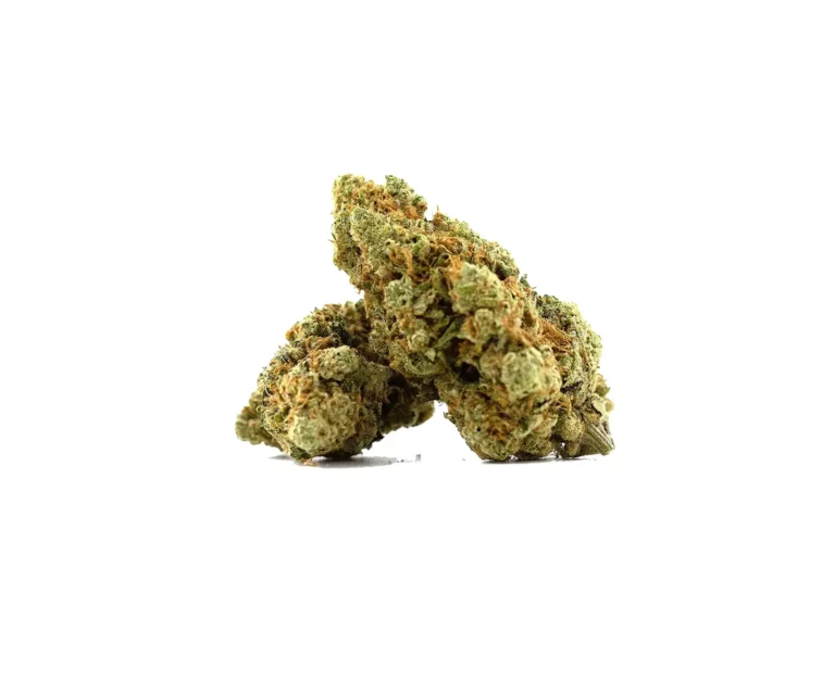 Amnesia Haze Hi Terpenes Ανθός