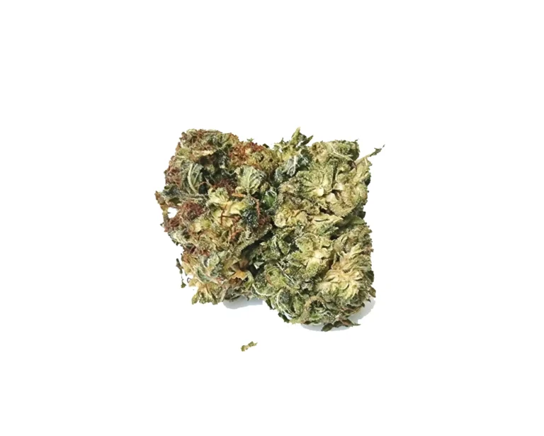 Amnesia Haze Ανθός