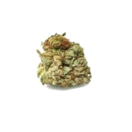 Μαστίχα Χίου Haze Ανθός