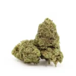Jungle Haze Hi Terpenes Ανθός Rollz