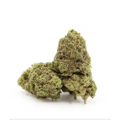 Jungle Haze Hi Terpenes Ανθός Rollz