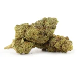 Lifter Hi Terpenes anthos Rollz