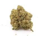 London Hi Terpenes Anthos Rollz 7