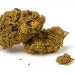 LA Kush anthos Greenboyz