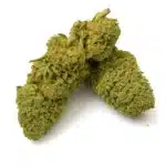 Passion Fruit Hi Terpenes Anthos Rollz