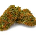 Black Gorilla Άρωμα & Γεύση Premium Cannabis Strain