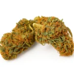 El Patrón Premium Cannabis Strain