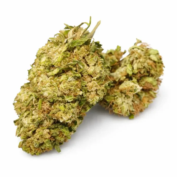 Greek Gen ανθός με γήινο άρωμα μεσογειακών βοτάνων