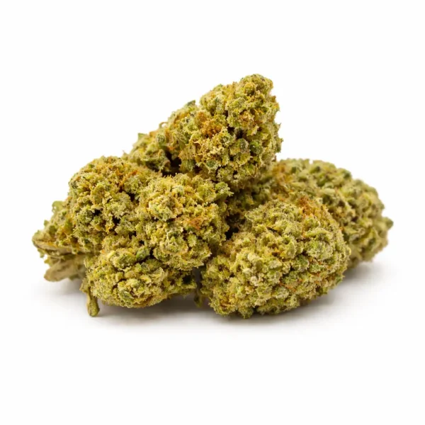 Skittlezz ανθός κάνναβης με υψηλά τερπένια