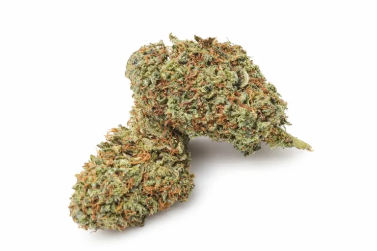 Mary Jane Delta Mix Force Ανθός