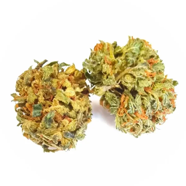 magic brazil ανθός