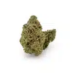 Tropical Runtz hi terpenes anthos