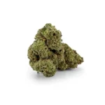 Bubblegum hi terpenes anthos Rollz